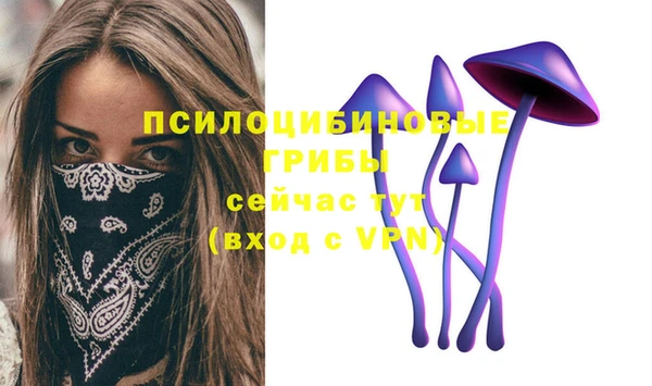 скорость Абаза